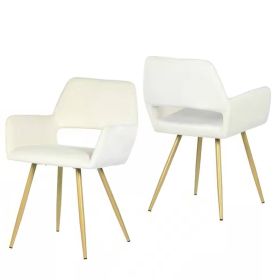 Set of 2 Modern Velvet Upholstered Dining Chair with Gold Metal Legs