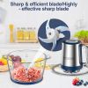 KOIOS 2L Electric Food Chopper Processor Vege Meat Grinder Mixer 2 Bowls Stainless Steel Glass