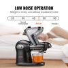 VEVOR Slow Masticating Juicer, 2-Speed Mode Cold Press Juicer Machine with Reverse Function, Quiet Motor Slow Juicer, Juice Extractor Maker Easy to Cl