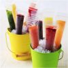 320 Pcs Disposable Beverage Packaging Bag Ice Popsicle Mold Bags with 2 Pcs Orange Funnels DIY Ice Lolly Bags BPA Free Freezer Tubes With Zip Seals fo